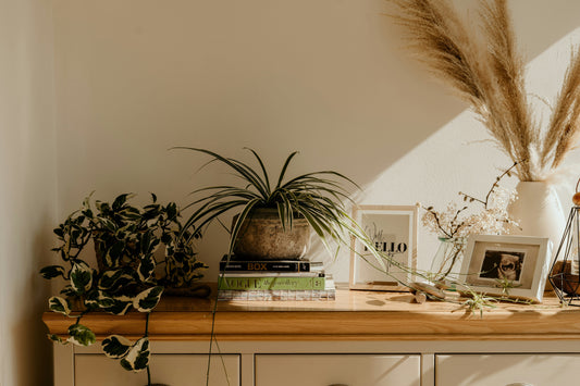 Modern Trends in Home Interiors